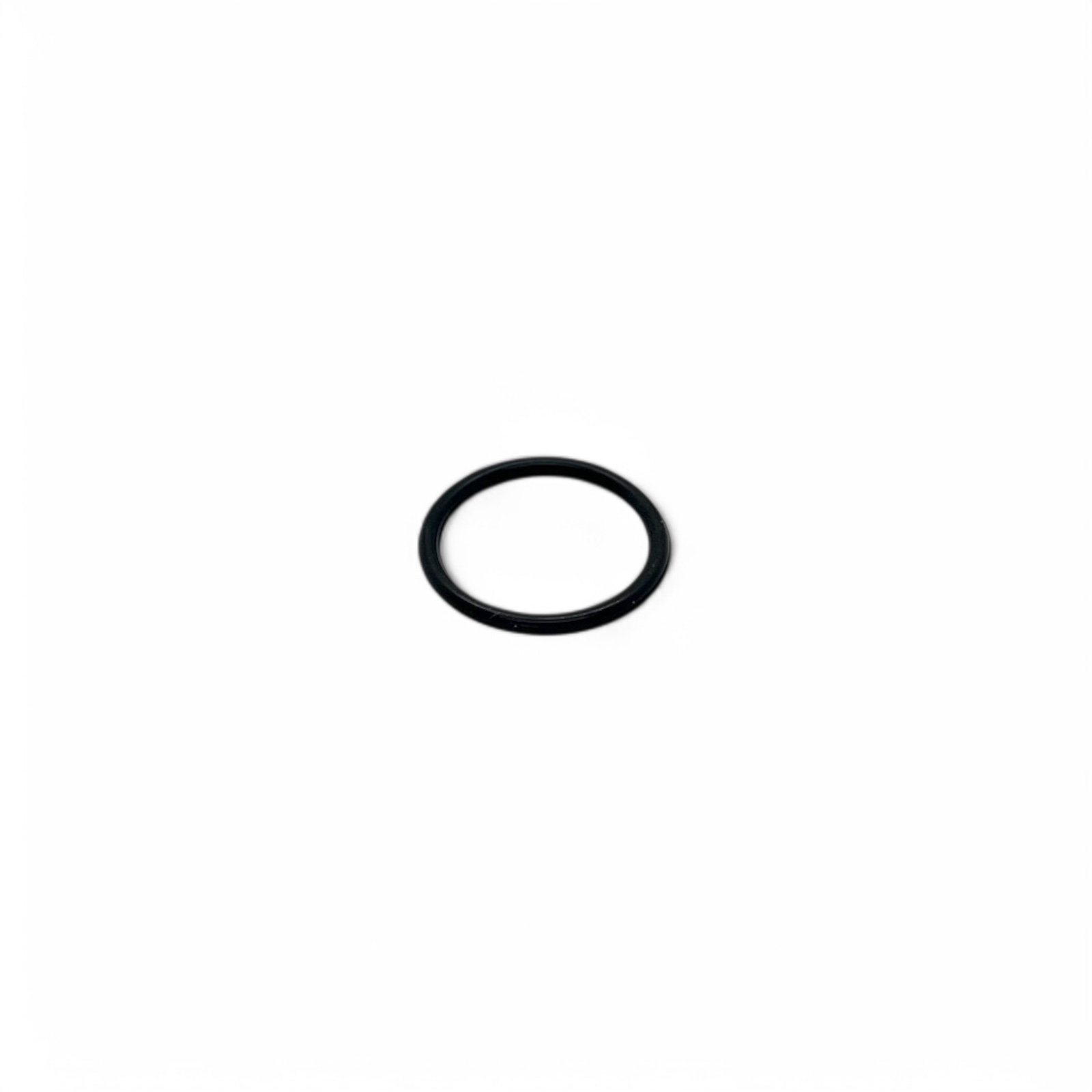 Omnigena JY 1000 (T) 26 - O-Ring