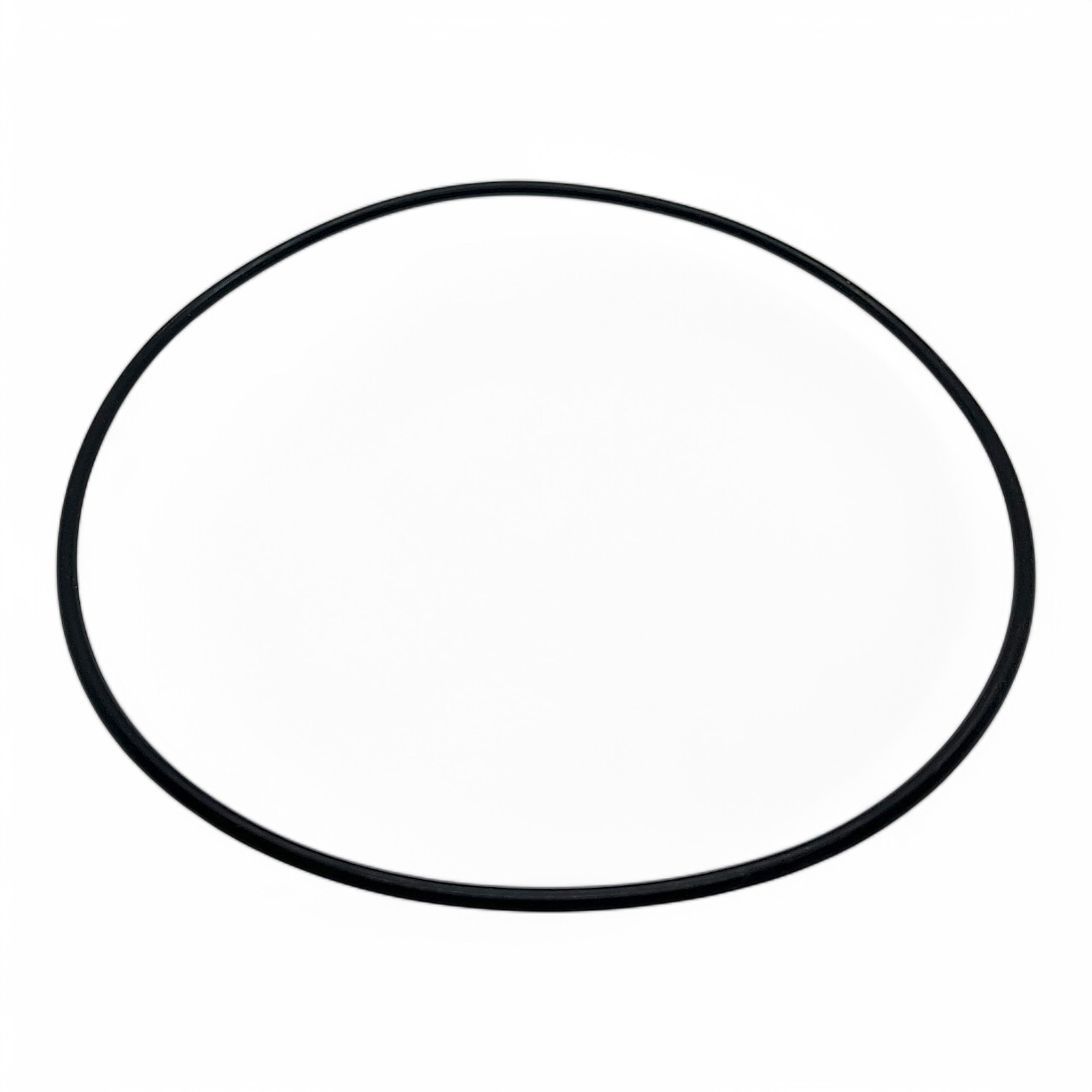 Omnigena JY 1000 (T) 21 - O-Ring